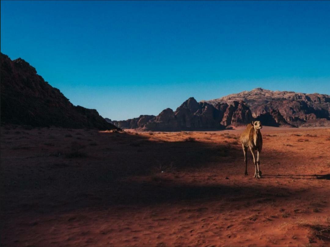 Wadi Rum Moon Camp 外观 照片