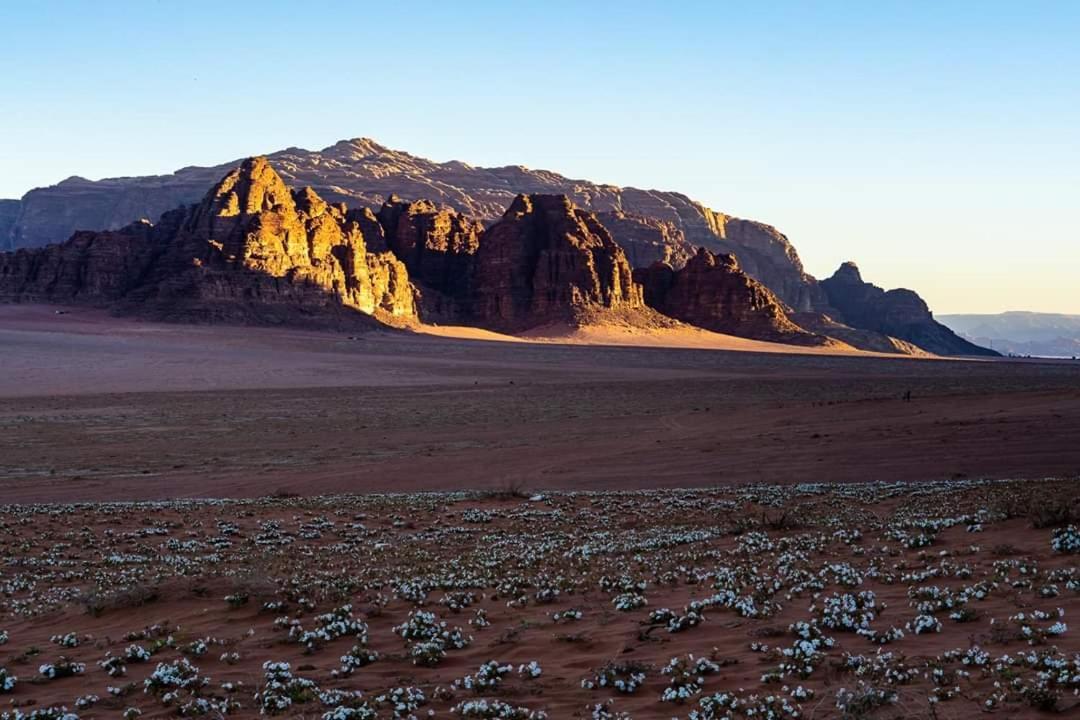 Wadi Rum Moon Camp 外观 照片